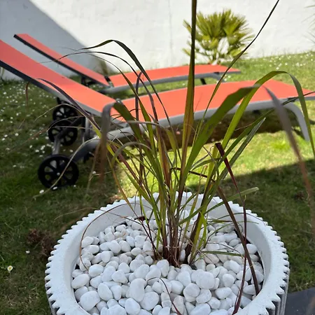 Le Clos Fleur De Sel *